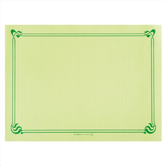 2000 SETS DE TABLE  31x43 CM VERT