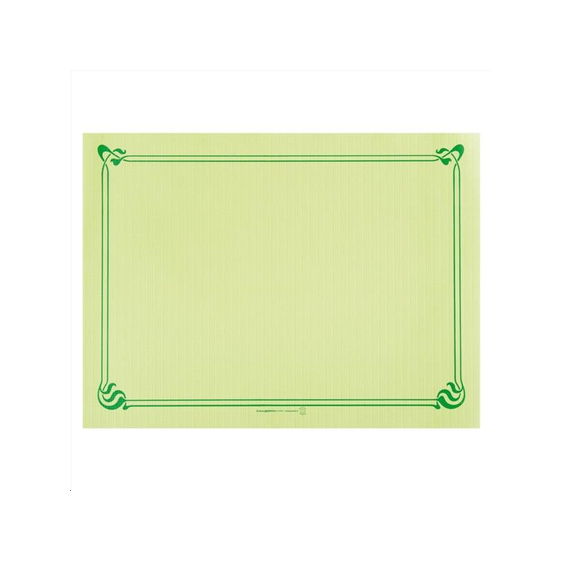 2000 SETS DE TABLE  31x43 CM VERT