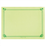 2000 SETS DE TABLE  31x43 CM VERT